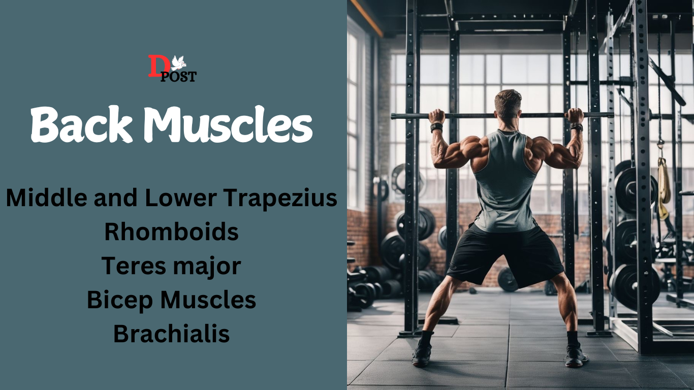 EXTREME BACK AND BICEP WORKOUT FOR MUSCLE MASS